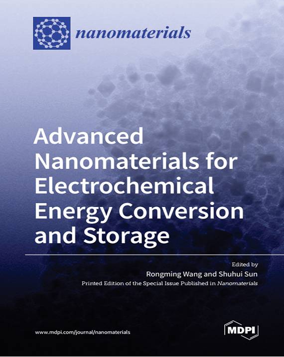 Advanced NanoMaterials for Electrochemical Energy Conversion and Storage