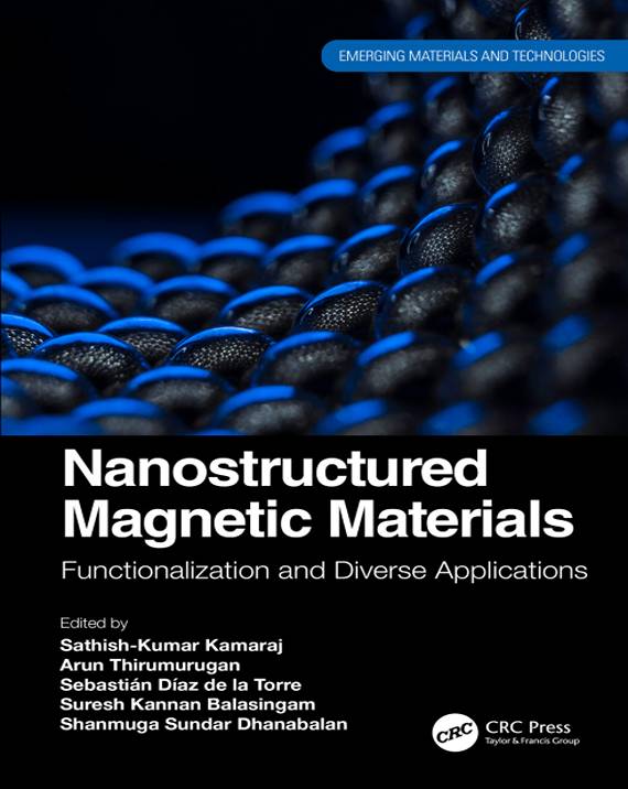 Nanostructured Magnetic Materials Functionalization